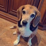 Profile Picture of Brian Tepper (@brian.tepper.3) on Instagram