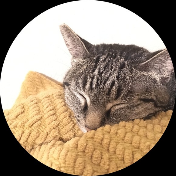 Profile Picture of Amy Shimizu (@arteren) on Poshmark