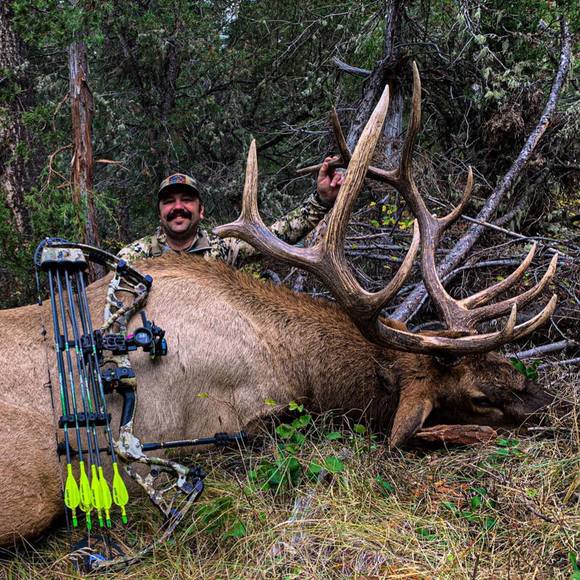 Samuel Niziolek - Poshmark Profile Picture of Samuel Niziolek (@elkoholic23) on Poshmark