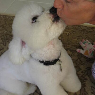 Profile Picture of Dan Hitt (@danl2020) on Twitter