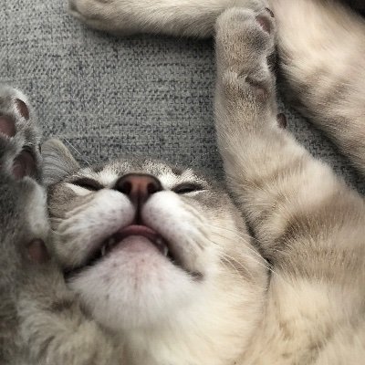 Profile Picture of Jay Mallett (@Newiisnipe) on Twitter