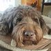 Profile Picture of David Howes (@david_m_howes) on Pinterest