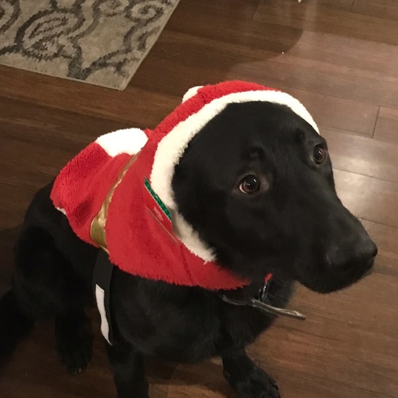 Profile Picture of Emily Elshoff (@elshoffe) on Poshmark