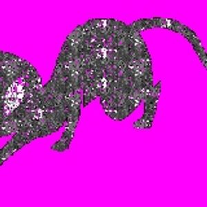 Profile Picture of Andrea Kirkpatrick (@andypandy269) on Myspace