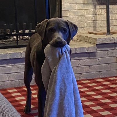 Chad Briddell - Twitter Profile Picture of Chad Briddell (@briddellc) on Twitter