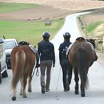 Profile Picture of Icelandichorses🇩🇪🇮🇸 (@islandpferdehof_sonnenwald) on Instagram