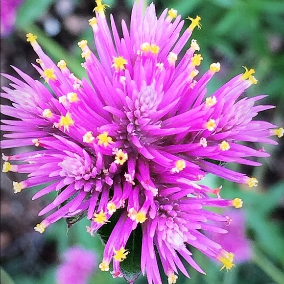 Profile Picture of Katelyn Bowman (@bkatelyn500) on Poshmark