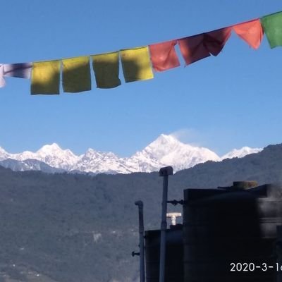 Profile Picture of Sonali Basu (@SonaliBasu14) on Twitter