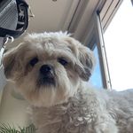 Profile Picture of Isabel van de wetering (@isabel.van.de.wetering) on Instagram