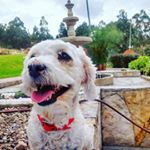 Profile Picture of Toby Perry Sar (@tobyperrysar) on Instagram