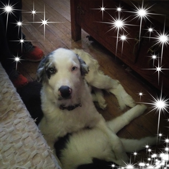 Profile Picture of Shawna Dyer (@minimoo337) on Poshmark