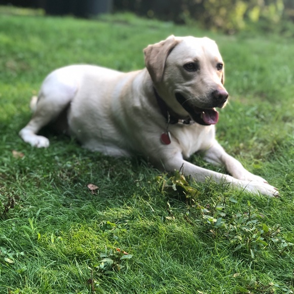 Profile Picture of Audrey Sebo (@a_sebasovich) on Poshmark