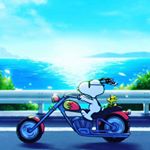 Matt Adcock - Instagram Profile Picture of Matt Adcock (@madcock77) on Instagram