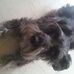 Profile Picture of Merry WEbbins (@merry.webbins) on Facebook