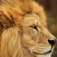 Profile Picture of Marcus Peyton (@marcus-peyton-3) on Quora