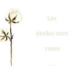 Mélanie Lion - Instagram Profile Picture of Mélanie Lion (@les_etoiles_sont_roses) on Instagram