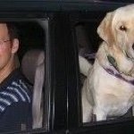 Profile Picture of Eli Rubenstein (@toten_1352__brendon) on Instagram