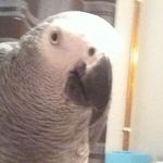 Profile Picture of Cynthia Gammon (@cynthiagammon) on Instagram