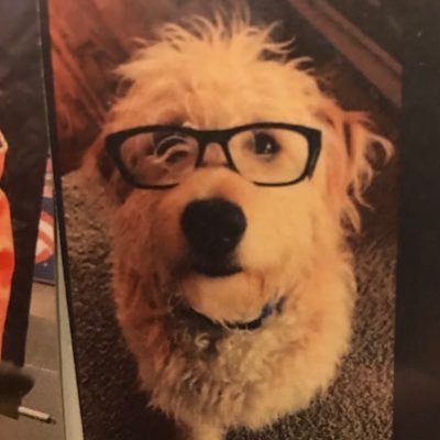 Profile Picture of Chris Matzke (@matzke_chris) on Twitter