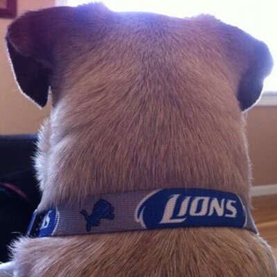 Profile Picture of Mike Piccirillo (@MikePiccirillo) on Twitter