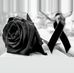 Profile Picture of Edwin Lara (@edwin.lara.10485) on Facebook