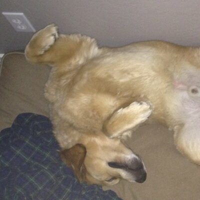 Profile Picture of Matt Durso (@mhs2sanfran) on Twitter