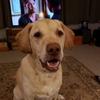 Profile Picture of Dale Claussen (@@daleclaussen) on Tiktok