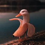 Profile Picture of Joseph Donahue (@joseph.donahue.520) on Instagram