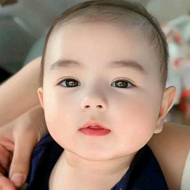 Profile Picture of Josh Asturias (@joshasturias) on Tiktok
