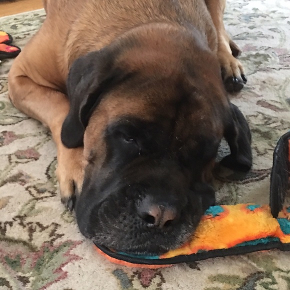 Profile Picture of Hope Simpson (@daisy086) on Poshmark