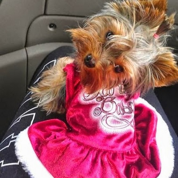 Profile Picture of Malgorzata Merta (@margot219) on Poshmark