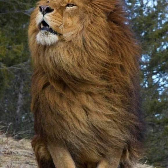 Profile Picture of Omar Omar (@omaromar980) on Poshmark