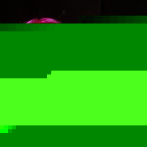 Profile Picture of Jacinta Rennie (@kiwigirl01) on Myspace