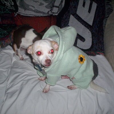 Profile Picture of Stephen Morehouse (@moehouse) on Twitter