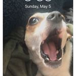 Profile Picture of DEREK MACKEY (@2025dmackey) on Instagram