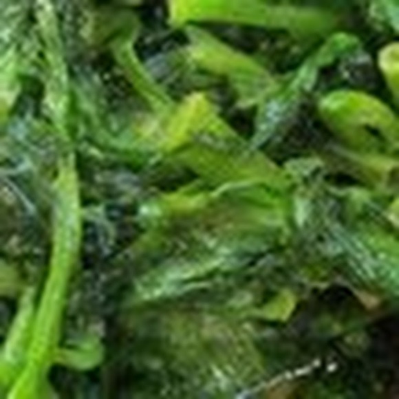 Profile Picture of Keith Christensen (@kchrstnsn) on Poshmark