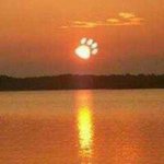 Profile Picture of Robin Chamblee (@chambleerobin) on Instagram