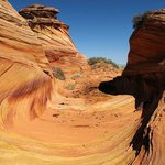 Profile Picture of Maya McCoy (@mayamccoy) on Instagram