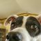 Profile Picture of David Hudspeth (@david.hudspeth.5) on Facebook