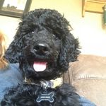 Profile Picture of Jason Kruse (@jason.kruse.731) on Instagram