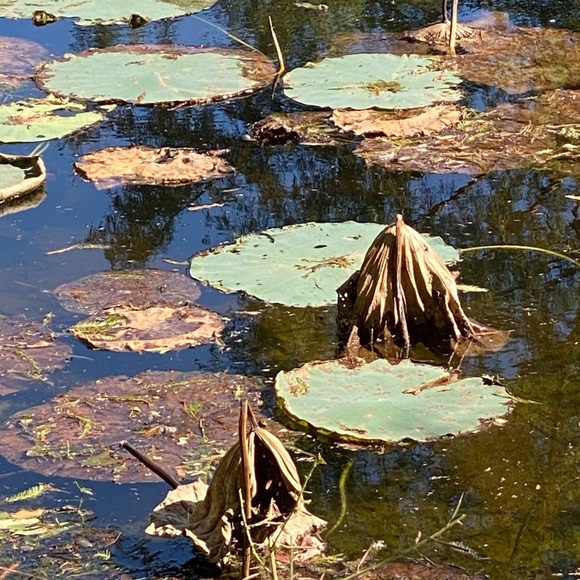 Profile Picture of Hayley Oravetz (@horavetz) on Poshmark