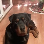 Profile Picture of Jeffrey Kondrich (@jeffrey.kondrich) on Facebook