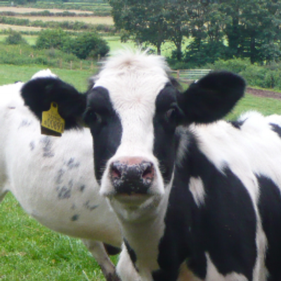 Geraldine Winkler - Twitter Profile Picture of Geraldine Winkler (@GNWinkler) on Twitter