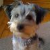 Profile Picture of Bobbie Maclean (@bobbie.maclean.7) on Facebook
