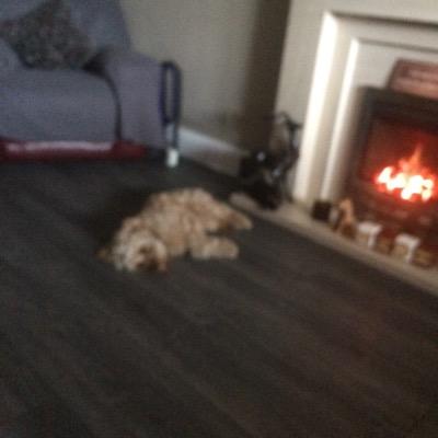 Profile Picture of William Catterall (@w_catterall) on Twitter