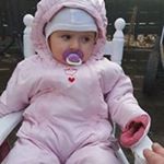 Profile Picture of Brian Thuesen (@thuesenbrian) on Instagram