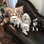 Profile Picture of Rachael Wiser (@rachael_wiser) on Instagram