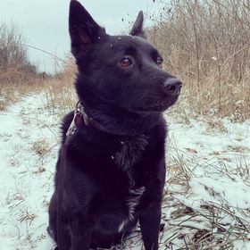 Andréa Biggs - Pinterest Profile Picture of Andréa Biggs (@andyawesome) on Pinterest