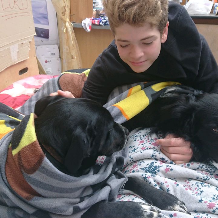 Profile Picture of Diana Brown (@andrewvigier) on Tiktok