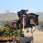 Profile Picture of Rachel Graham (@rkg.eventing) on Instagram